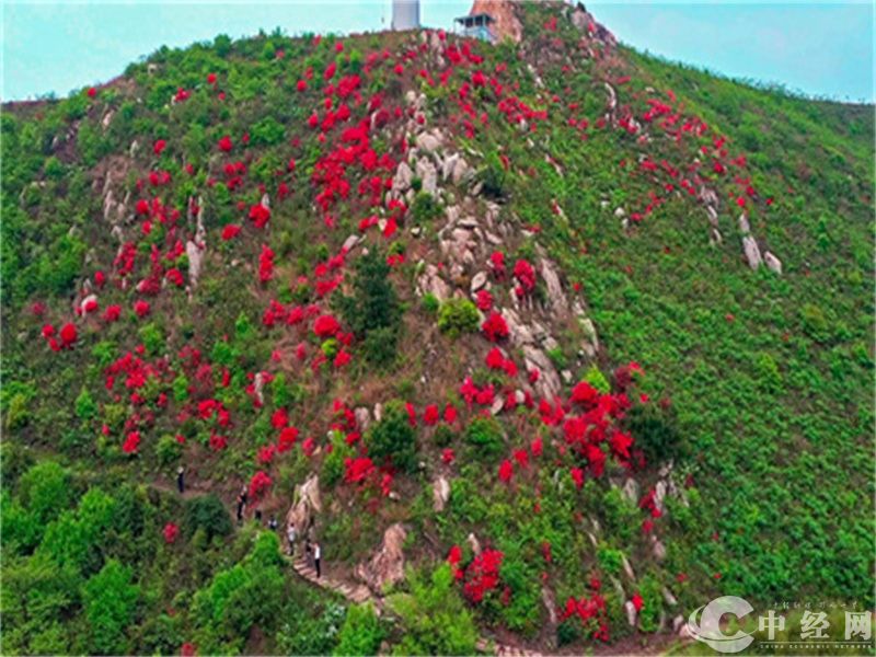 微信图片_20230404190433.jpg