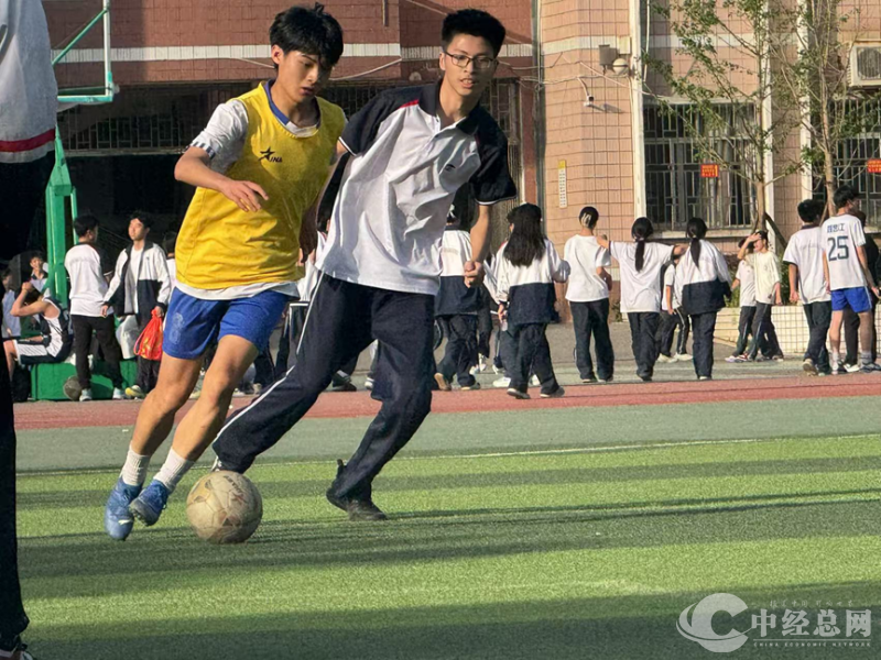 1745986198699936.png 13.png