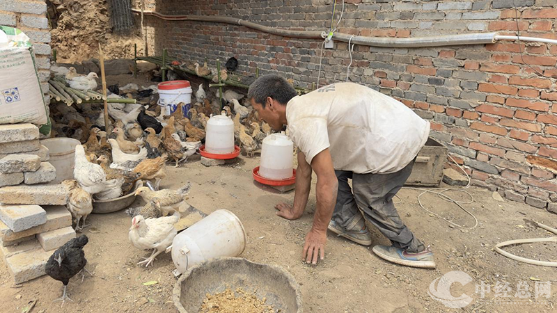 1747668129797522.png 图片5.png