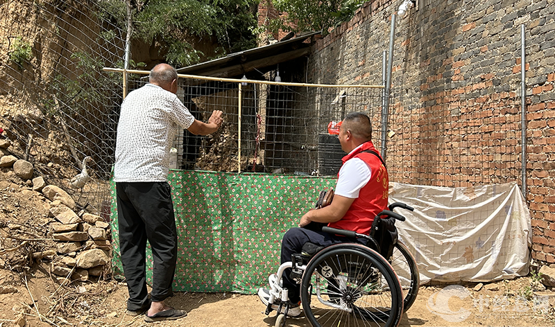 1747668207631656.png 图片7.png