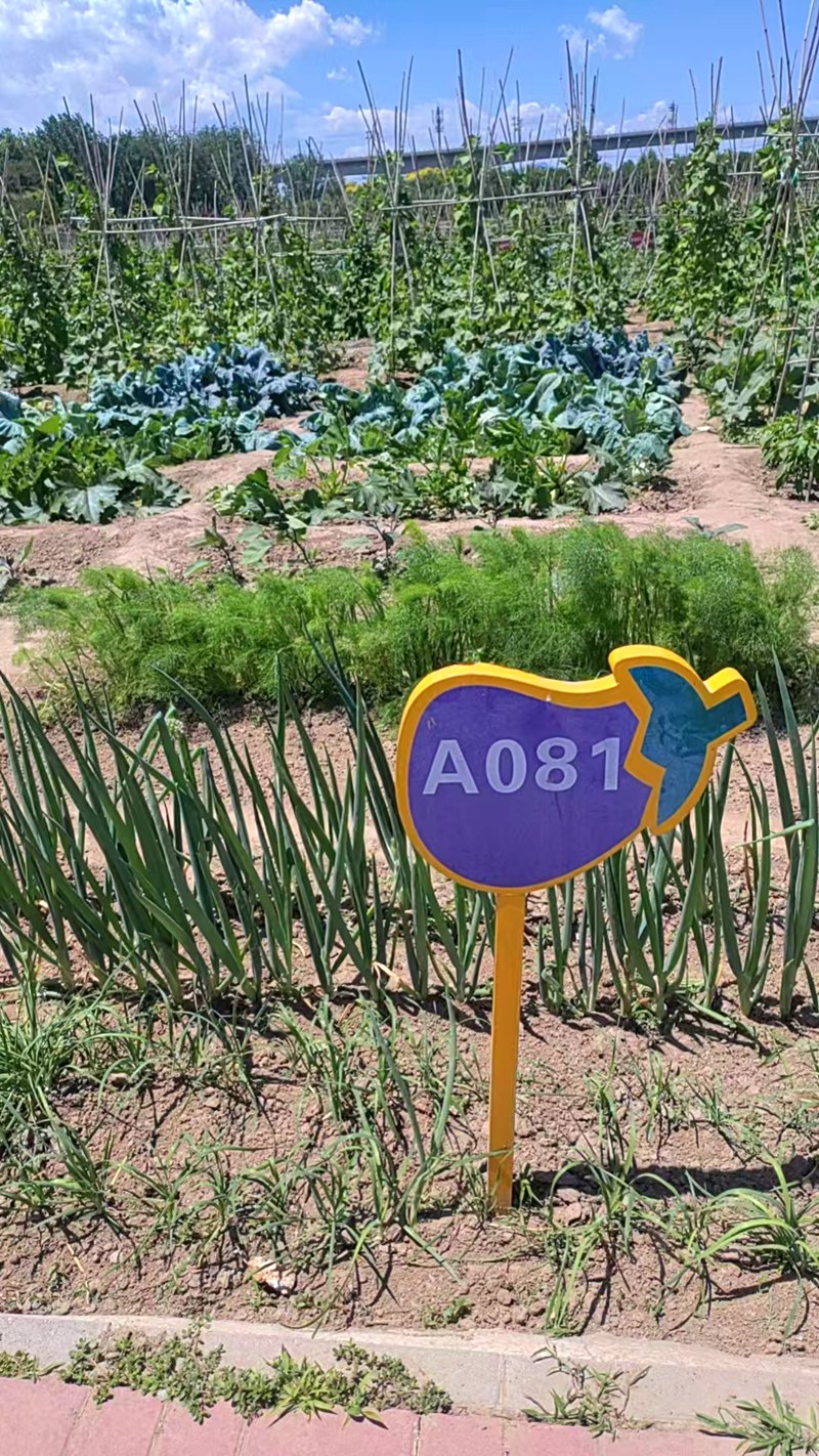 1748841049342750.jpg 微信图片_20250602131017.jpg