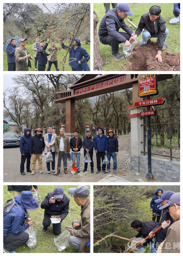 1749731382402493.png 图片2.png