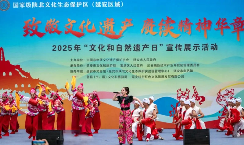 1750048803819590.jpg 3_副本.jpg