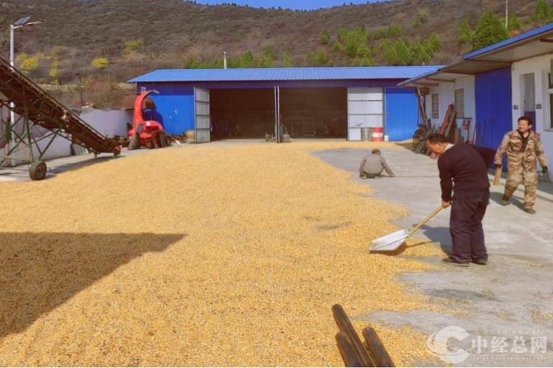 1751030089285991.jpg 微信图片_20250627210412.jpg