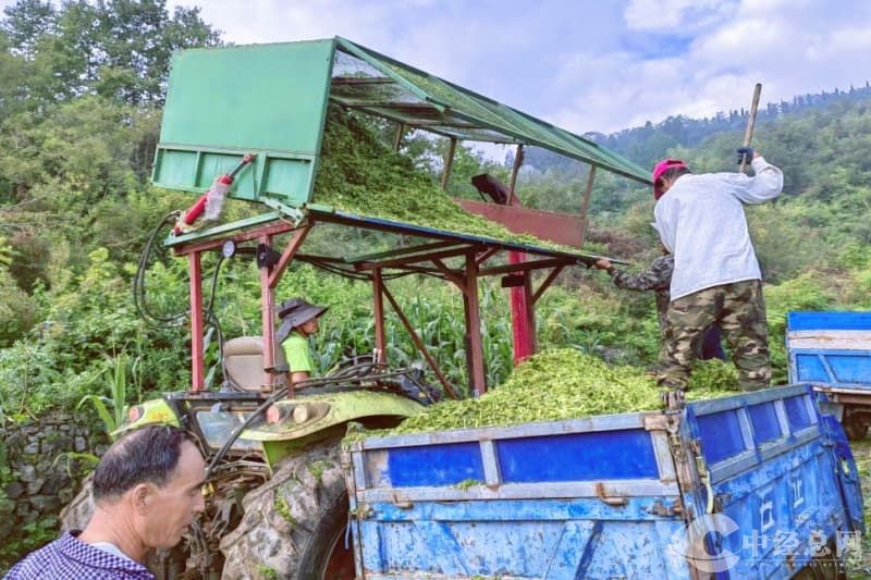 1751030105613516.jpg 微信图片_20250627210420.jpg