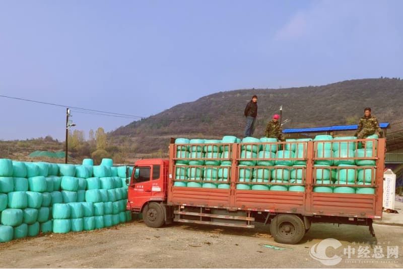 1751030139486166.jpg 微信图片_20250627210445.jpg