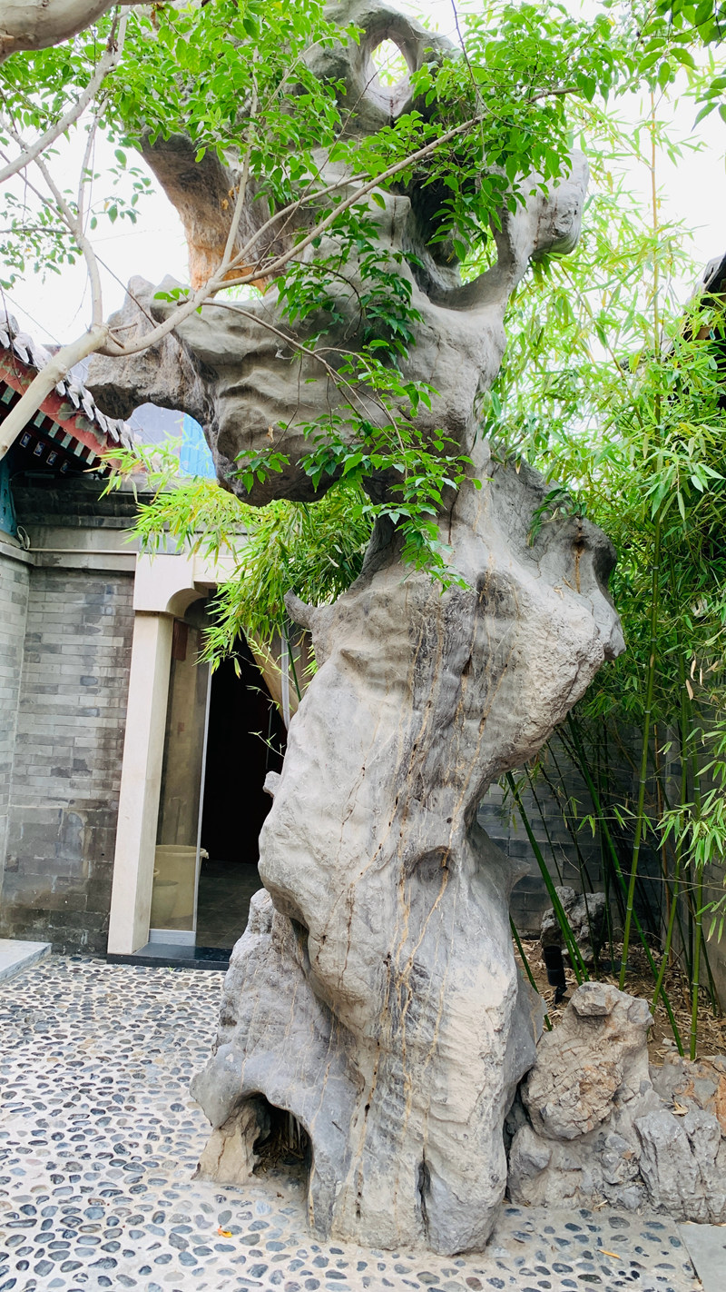 1751072017266697.jpg d7789abcc1394c886a1b42ee0164af6.jpg