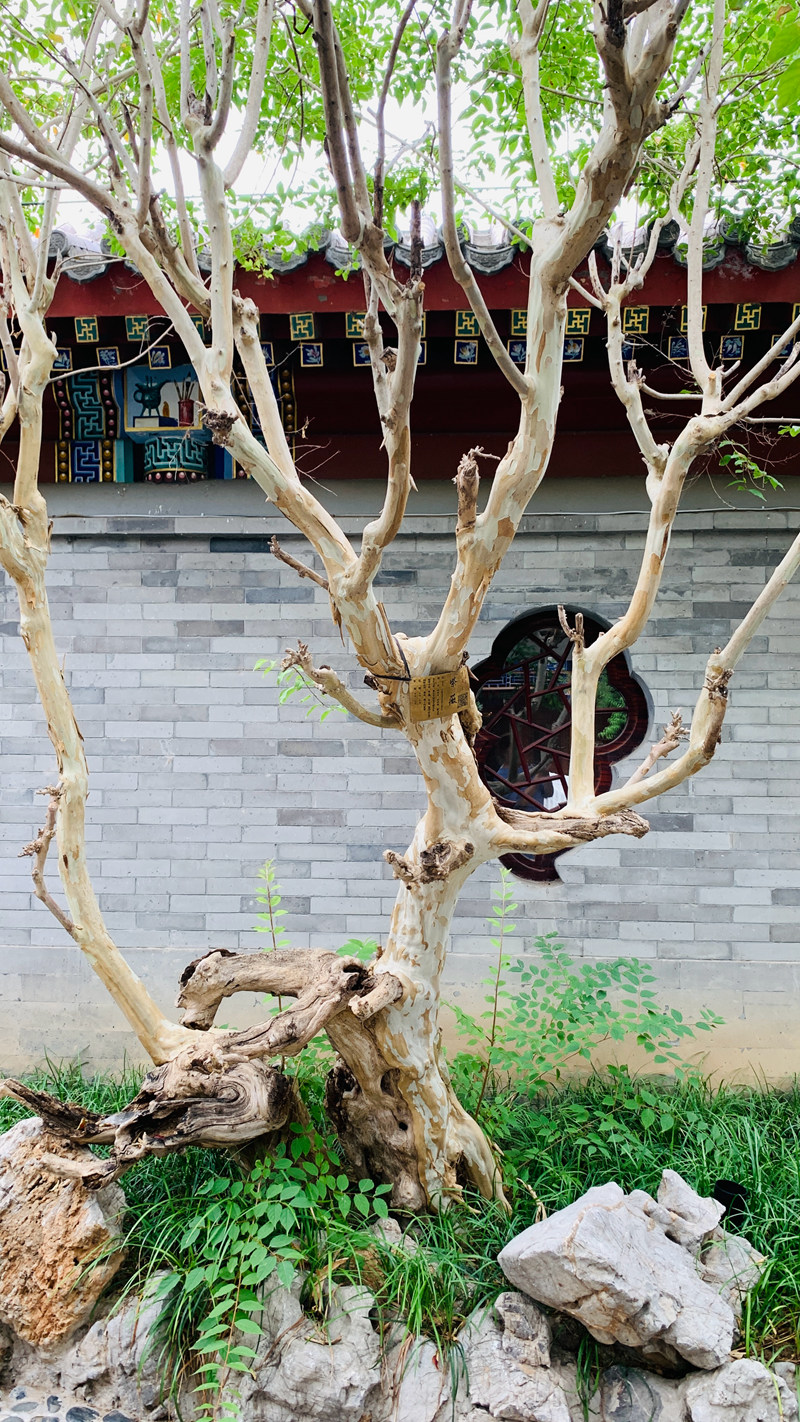 1751072025511593.jpg de74297c07c3d42df3480cf3bb4cf34.jpg