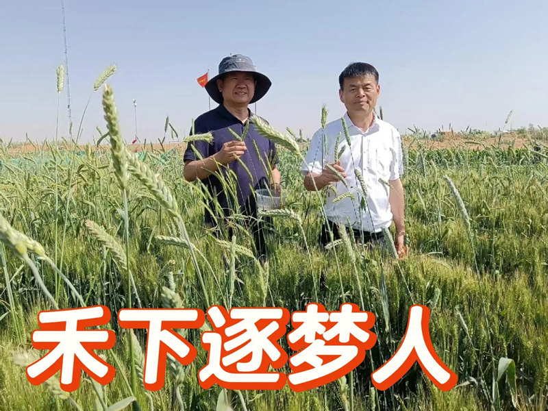 郑州赛诺----禾下逐梦人_1_李刚 新经济研究学者_来自小红书网页版.jpg