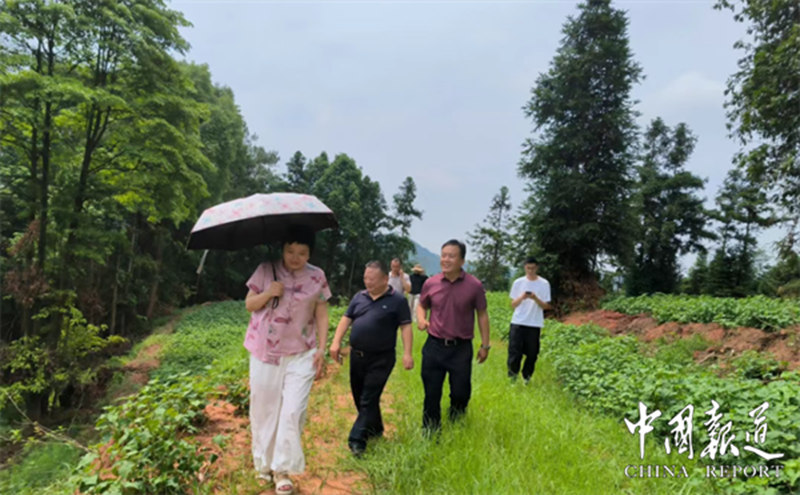 1751883465870703.jpg 3_副本.jpg