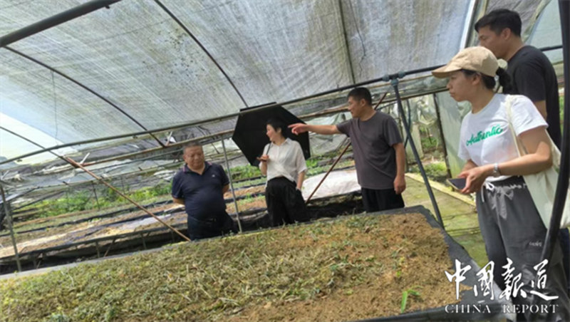 1751883556344277.jpg 8_副本.jpg