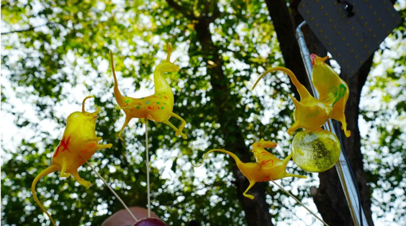 1754195557463543.jpg 11_副本.jpg