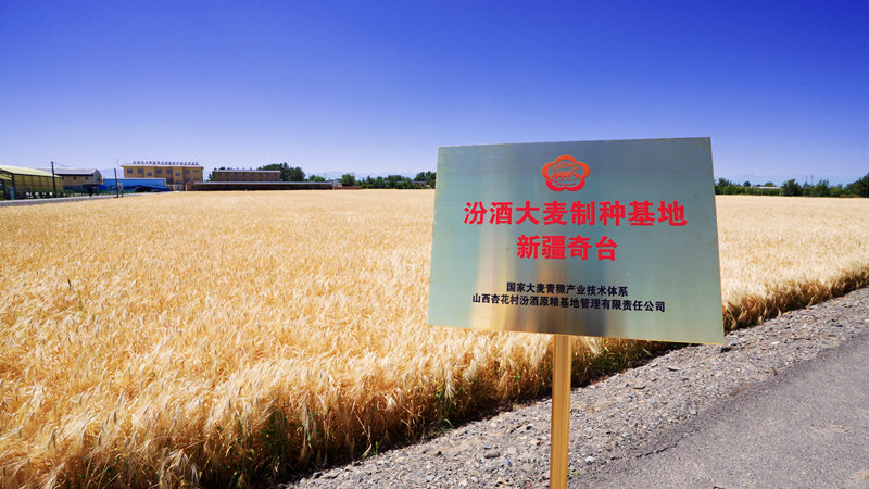 2025-07-21 082611.jpg