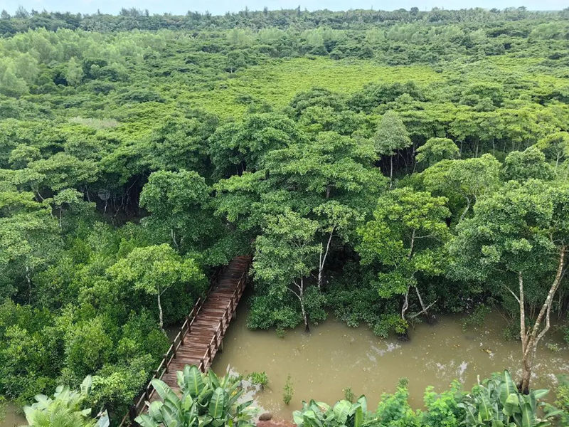 1757863433914086.jpg 5_副本.jpg