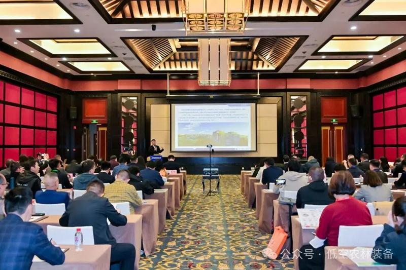 1761749470758972.jpg 2_副本.jpg