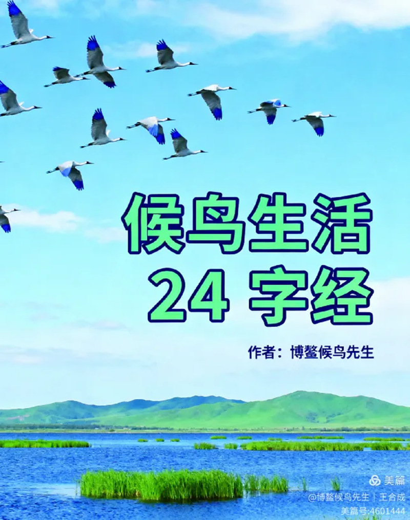 1761834485680494.jpg 1_副本.jpg