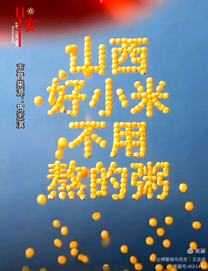 1761834855536763.jpg 19_副本.jpg