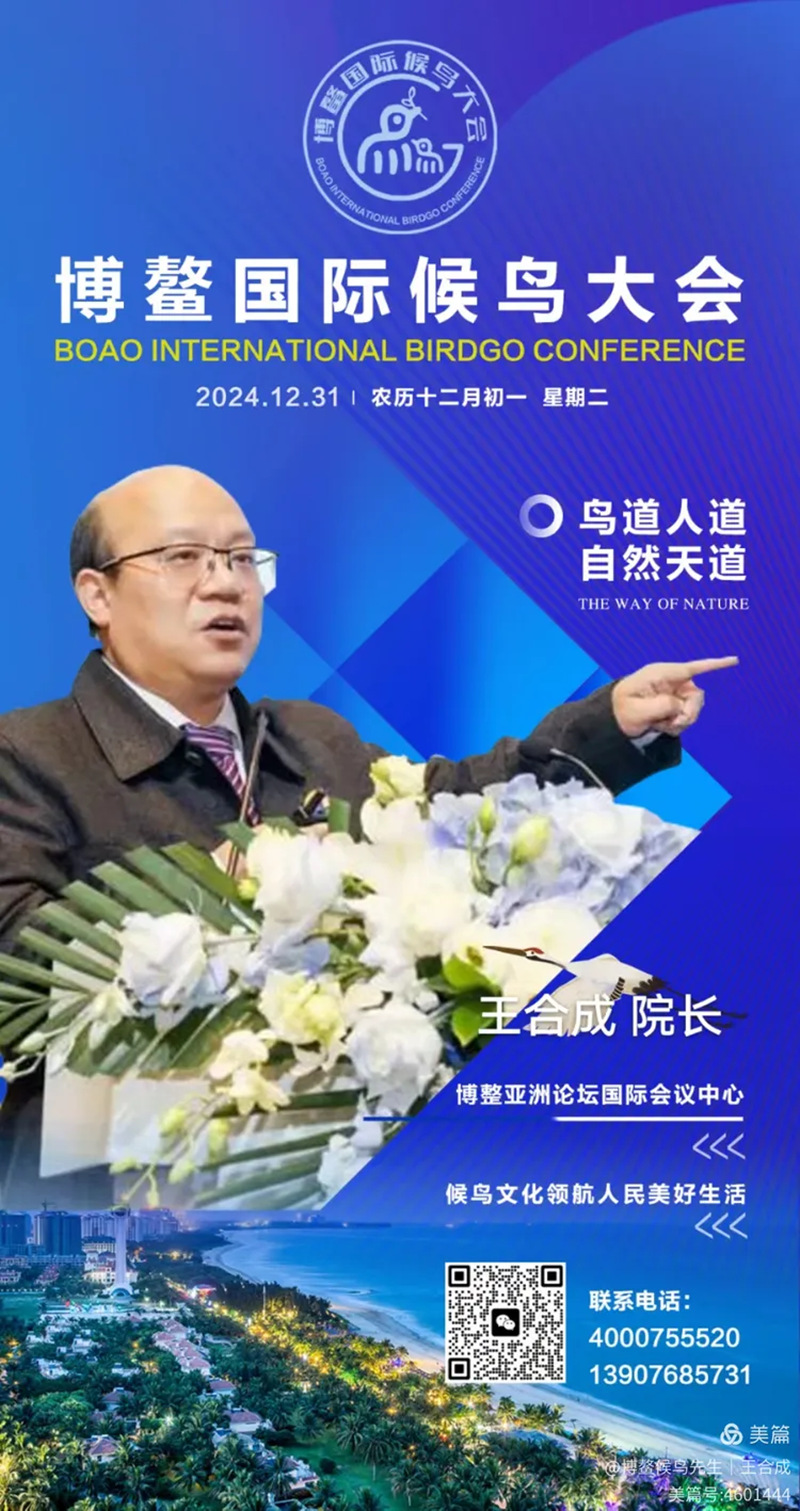 1761834928588914.jpg 26_副本.jpg