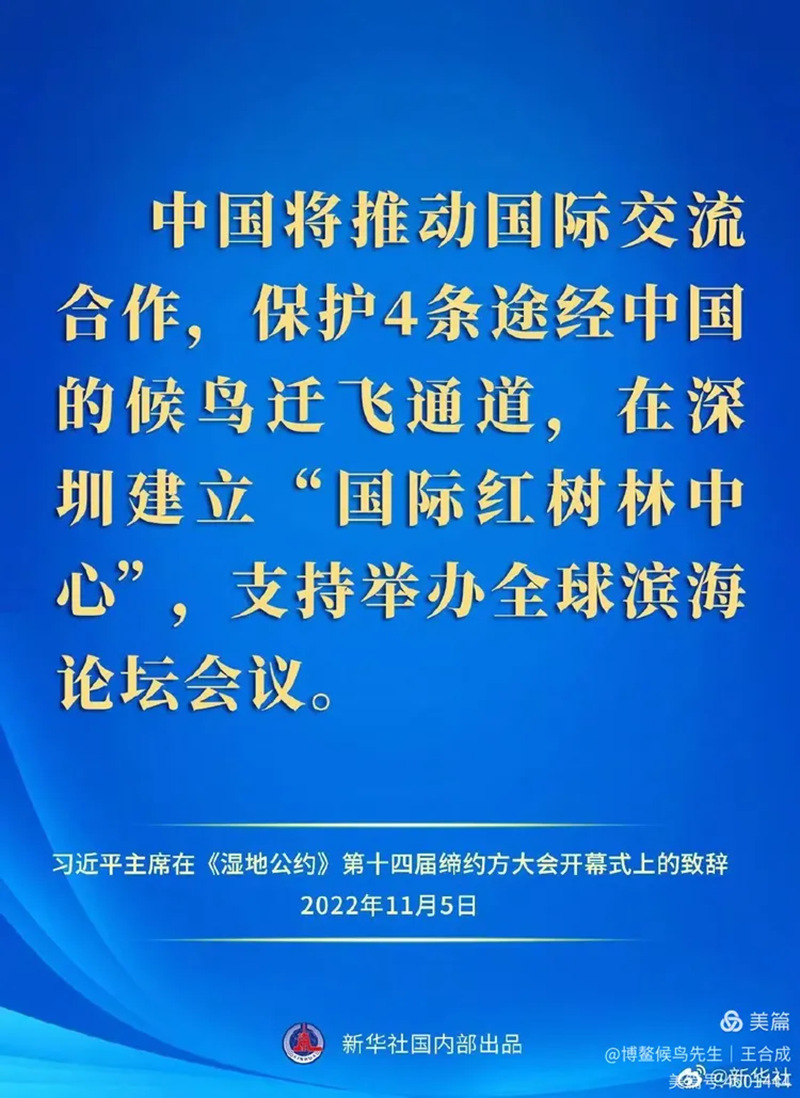 1761834944238370.jpg 31_副本.jpg