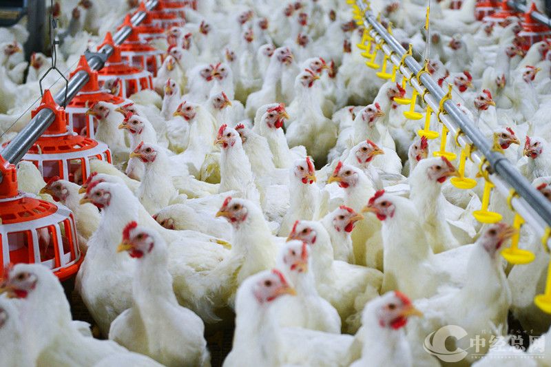 1761987741394672.jpg 微信图片_20251101164323_1029_3.jpg