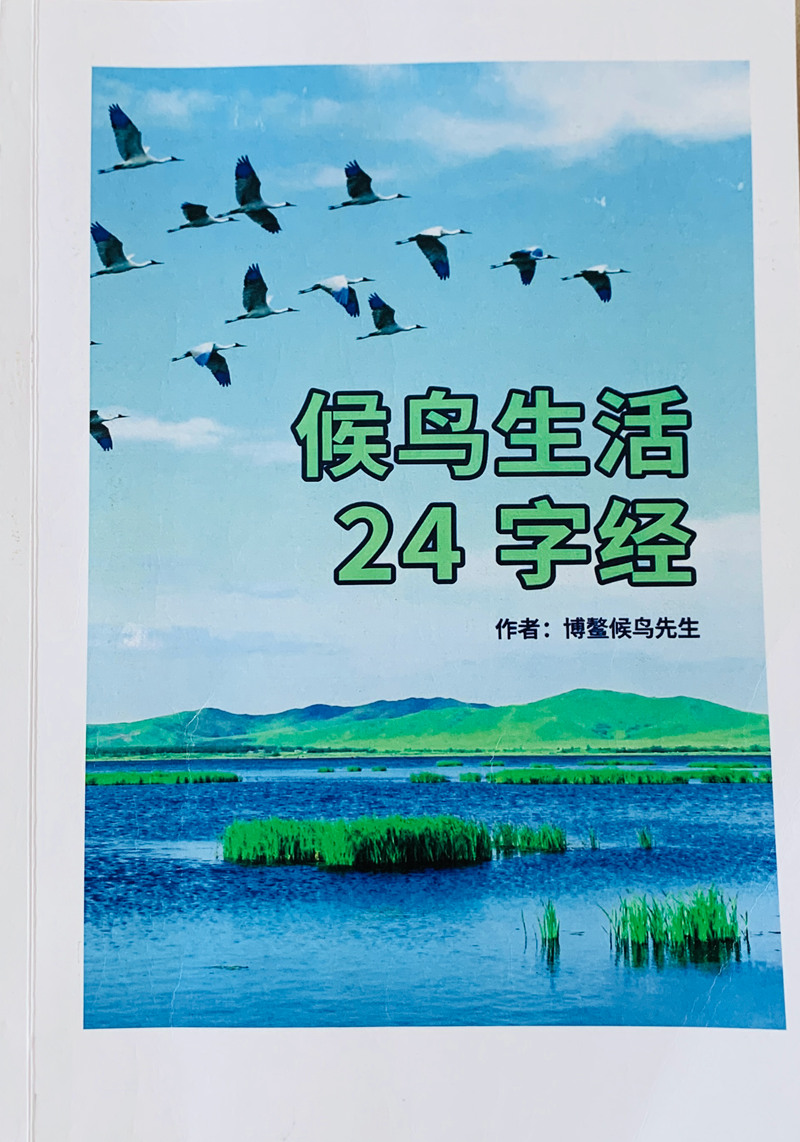 1762097419678233.jpg dca174fc847384b74ff0a4a46073f7d4.jpg