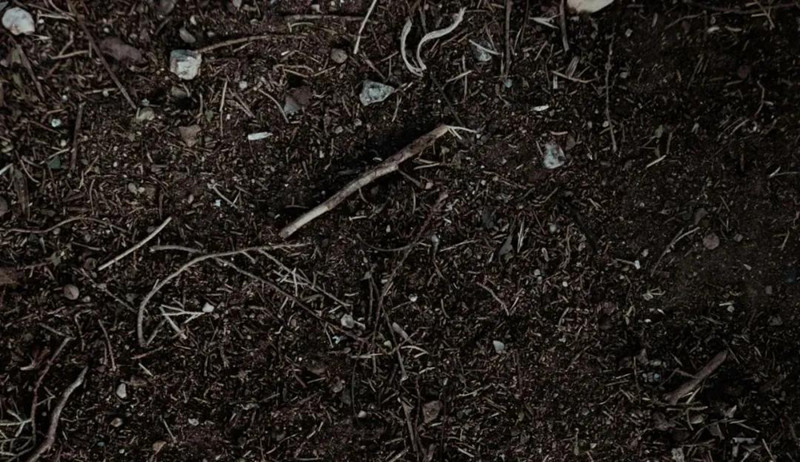 1762408351780920.jpg 图片3.jpg