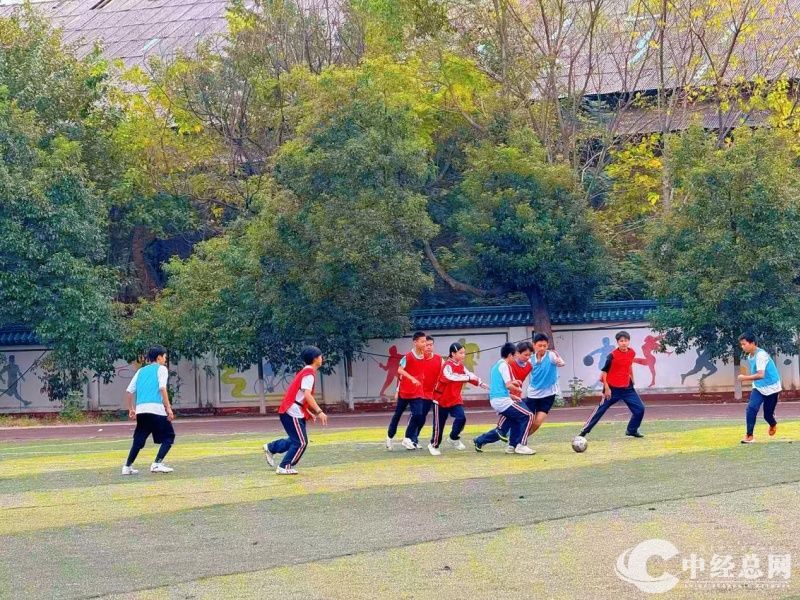 1762420912661737.jpg 5.jpg