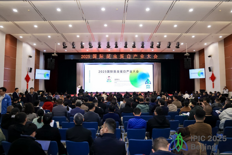 1763118427374850.jpg 图片1.jpg