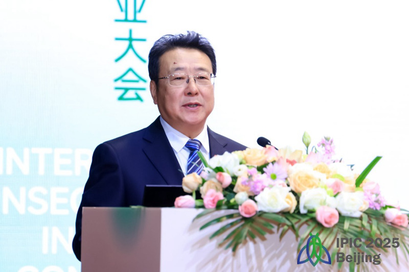 1763118445955368.jpg 图片3.jpg