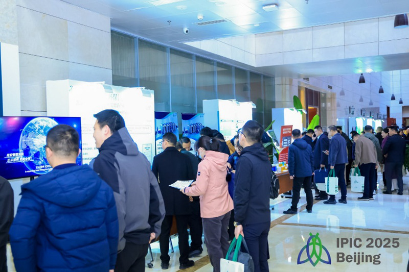 1763118542985800.jpg 图片11.jpg