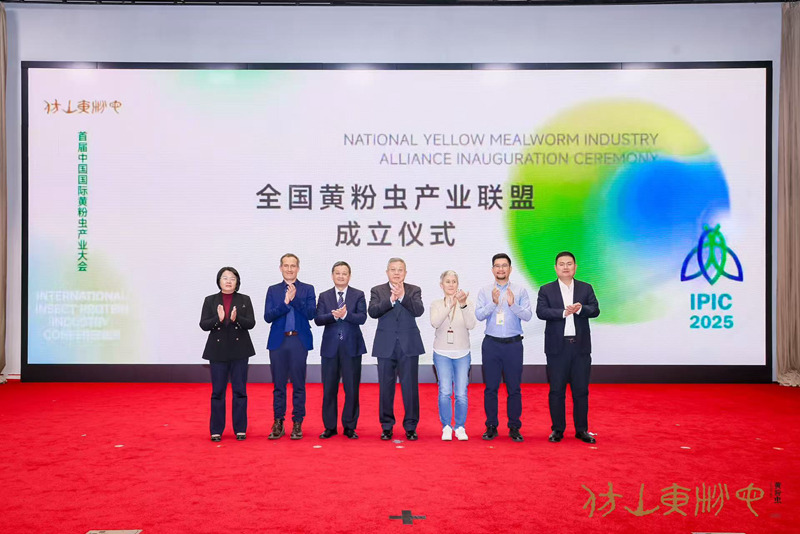 1763118784267276.jpg 2.jpg