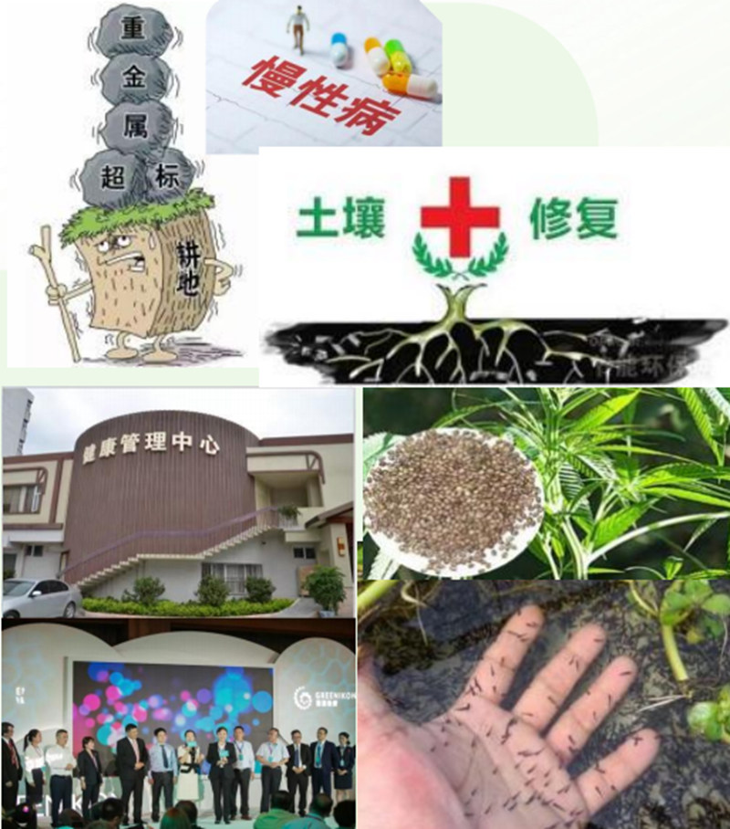 7_副本.jpg
