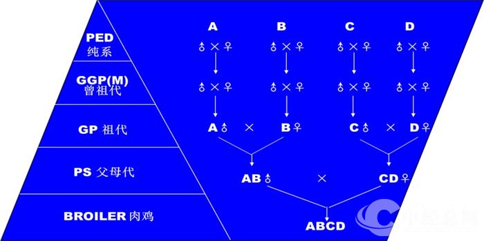 微信图片_2026-06-01_174410_450.jpg