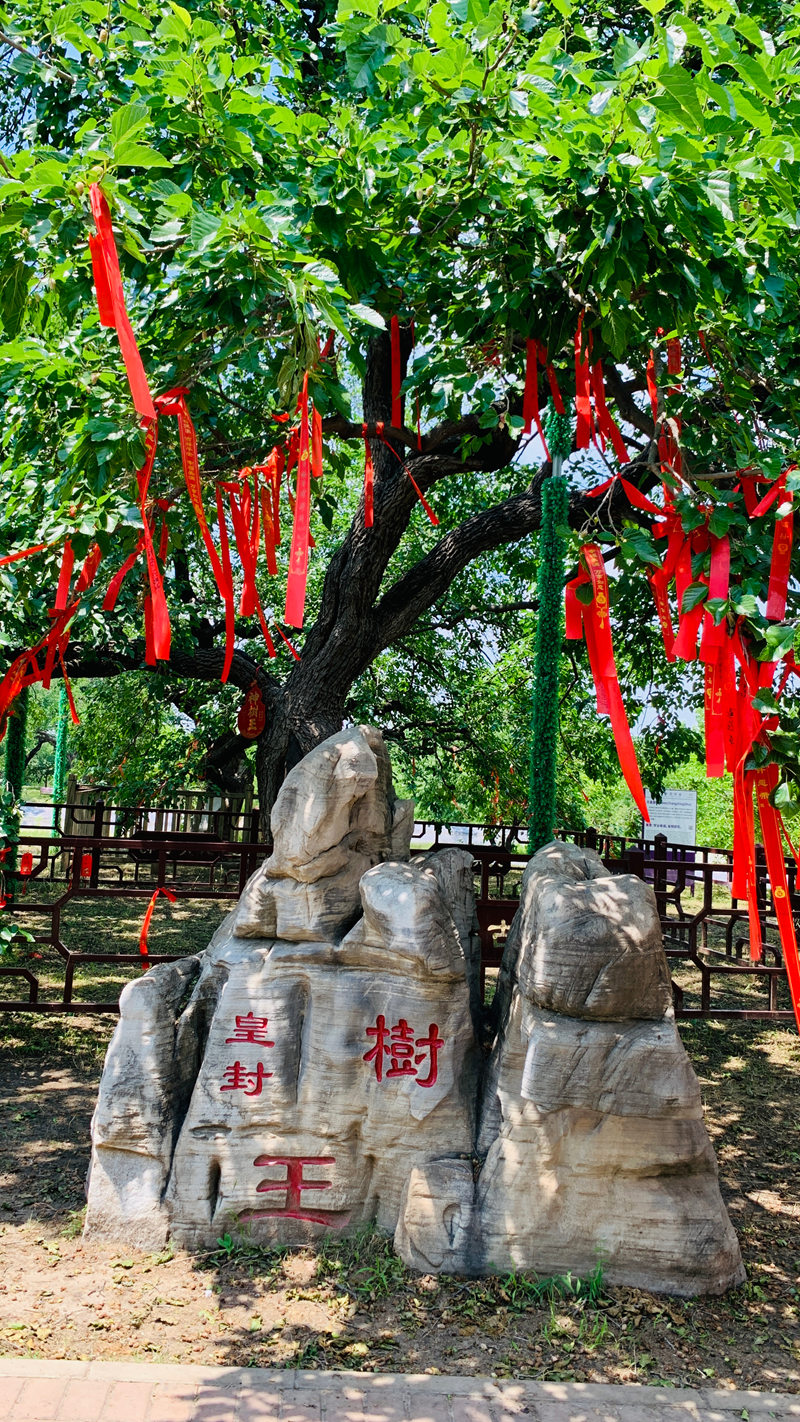 微信图片_20260610174442_78_12873.jpg
