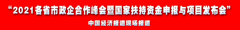 5 2021各省市政企合作峰会暨国家扶持资金申报与项目发布会副本.jpg