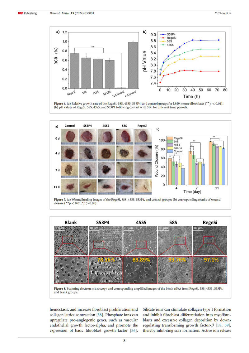 幸福益生RegeSi-SCI_07.jpg